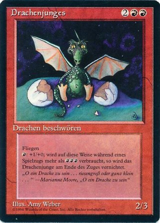 Drachenjunges