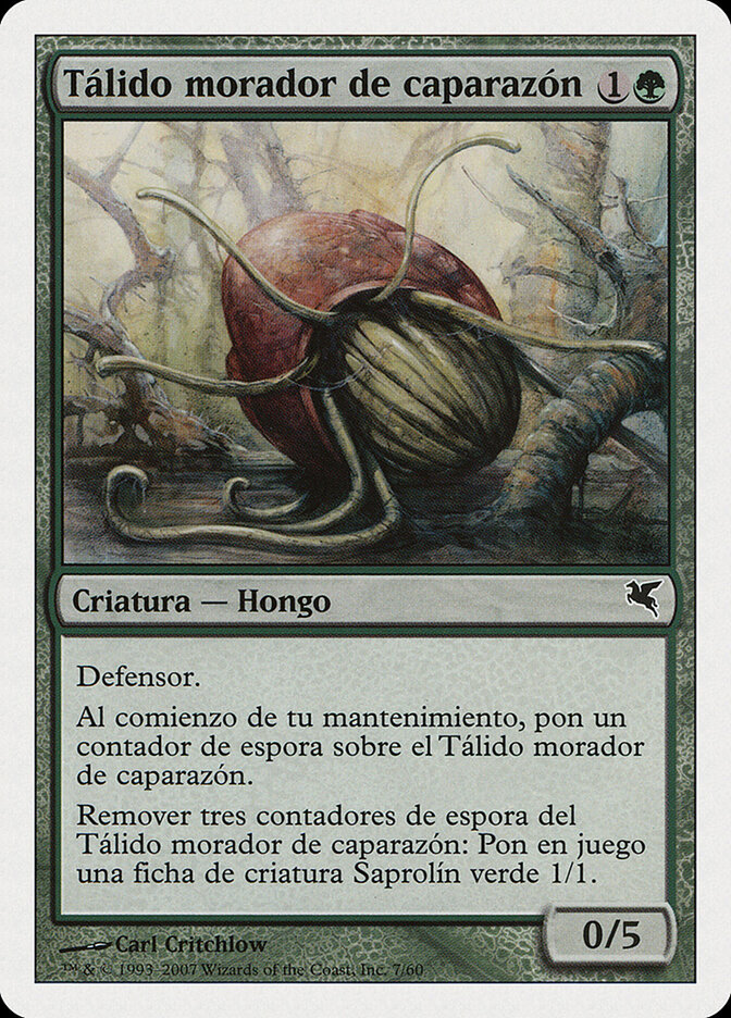 Tálido morador de caparazón